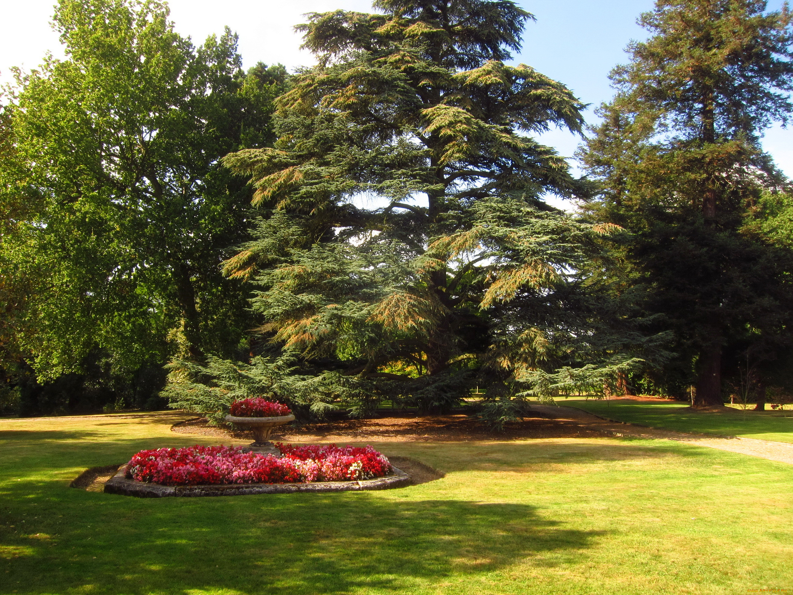 beale, arboretum, barnet, england, , , , 